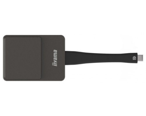 iiyama WP D002C adaptador Smart TV USB 4K Ultra HD Negro, Plata (Espera 4 dias)